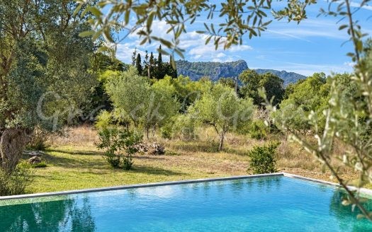 Piscina mediterránea rodeada de olivos en finca de Pollensa, Mallorca